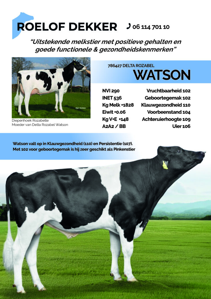 Watson