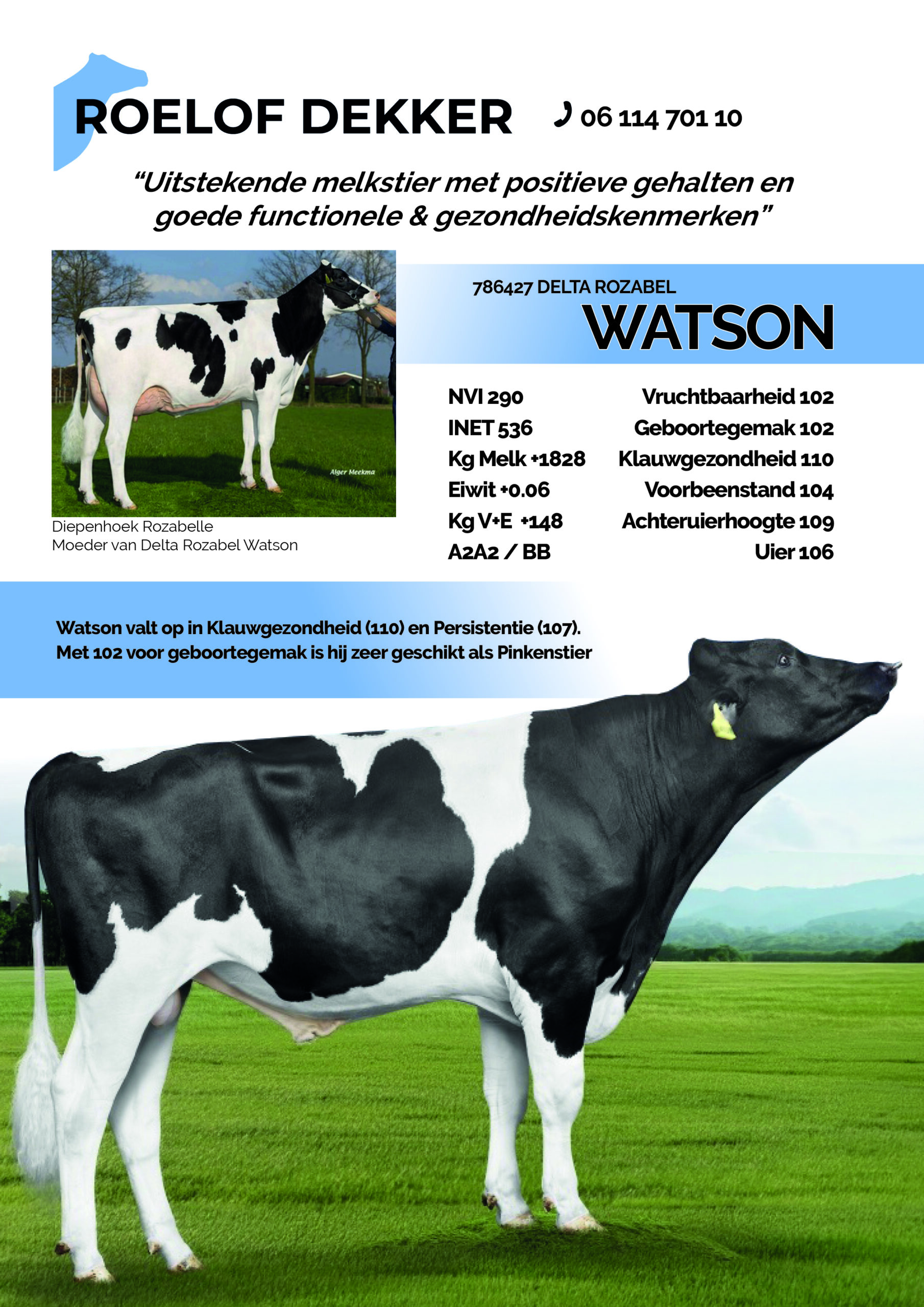Watson
